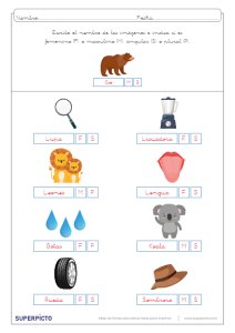 Concordancia de género y número