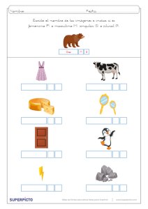 Concordancia de género y número