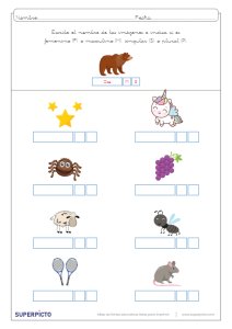 Concordancia de género y número