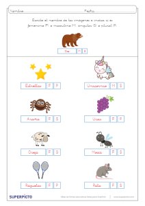 Concordancia de género y número