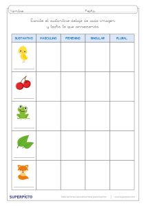 Concordancia de género y número