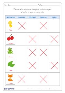 Concordancia de género y número