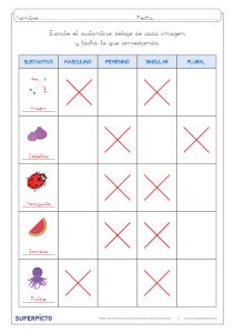 Concordancia de género y número