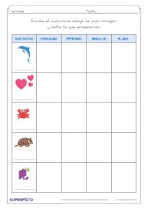 Concordancia de género y número