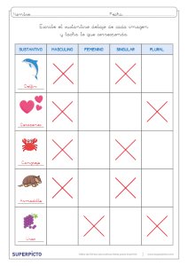 Concordancia de género y número