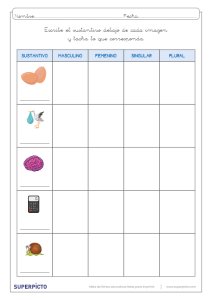 Concordancia de género y número