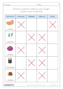 Concordancia de género y número