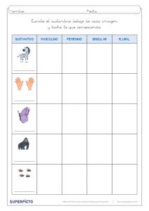 Concordancia de género y número