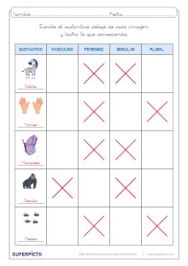 Concordancia de género y número