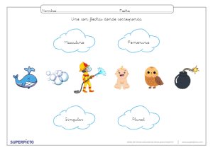 Reconocer el género y el número con flechas