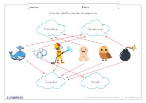 Reconocer el género y el número con flechas