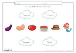 Reconocer el género y el número con flechas