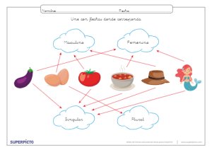 Reconocer el género y el número con flechas