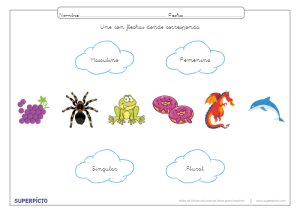 Reconocer el género y el número con flechas