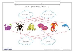 Reconocer el género y el número con flechas