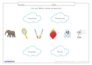 Reconocer el género y el número con flechas
