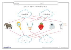 Reconocer el género y el número con flechas