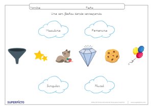 Reconocer el género y el número con flechas