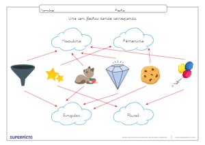 Reconocer el género y el número con flechas