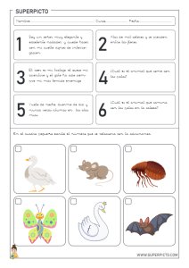 Colección de adivinanzas infantiles