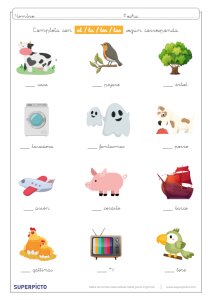 Concordancias de género y número