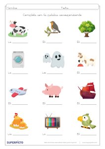 Concordancias de género y número