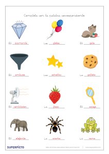 Concordancias de género y número