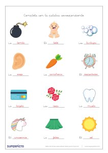 Concordancias de género y número