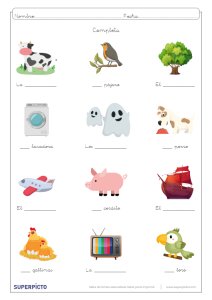 Concordancias de género y número