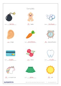 Concordancias de género y número