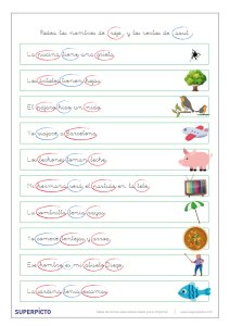 Identificar los nombres y los verbos en oraciones