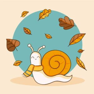 animales invertebrados